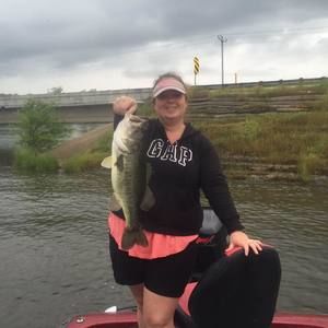 Meet your Posher, Bridget